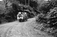Image of sheet 19940390 photo 23: Finca Las Confluencias Rinderherde Gruppenbild Juanita Tinoco Chema Negro und Felicitas. Pinto Riccardo und Polin. Camioneta Umgebung La Cuesta. Lastwagen mit Personentransport. Camioneta flicken. Gruppenbild mit Polin Valdivia Salinas  und Familie Meiling Yaosca etc. Viktoria Vicky Victoria Esteli Nueva Segovia 
Kartonschachteln mit Copper Antikonzeptionsmittel Pillen Antibabypillen aus den Vereinigten Staaten USA. Nordamerika. Si Mujer in Managua San Judas 16 jähriges Mädchen schwanger. Promotoren Nicaragua 1994