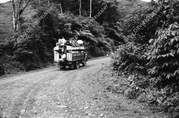 Image of sheet 19940390 photo 23: Finca Las Confluencias Rinderherde Gruppenbild Juanita Tinoco Chema Negro und Felicitas. Pinto Riccardo und Polin. Camioneta Umgebung La Cuesta. Lastwagen mit Personentransport. Camioneta flicken. Gruppenbild mit Polin Valdivia Salinas  und Familie Meiling Yaosca etc. Viktoria Vicky Victoria Esteli Nueva Segovia 
Kartonschachteln mit Copper Antikonzeptionsmittel Pillen Antibabypillen aus den Vereinigten Staaten USA. Nordamerika. Si Mujer in Managua San Judas 16 jähriges Mädchen schwanger. Promotoren Nicaragua 1994