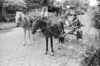 Image of sheet 19940400 photo 25: Si Mujer macht regelmässig Promotion und Reklame im Quartier, junge Studentinnen werben für das Zentrum 'Rosita Kugler'. Die Gesundheits Promotorin Ich bin mit Jamileh 19 j. unterwegs wie sie an junge Männer,  Kondome, Pariser in Anwesenheit der Mütter und Grossmütter, verteilt.  21 und 22. Apostolische Kirche. Kinder auf Pferdewagen. Junge schwangere wird kontrolliert. La Concepcion Masaya 28.09.Sitzung Fondo rotativo. La Concepcion, Concha Swissaid. klein Kredite. Kleinkredit Nicaragua Managua 1994