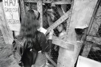 Image of sheet 19940410 photo 17: © 1994, Olivia Heussler / www.clic.li
Jamileh, 19, hat 2 Kinder und ist Studentin, während ihrer Freizeit macht sie Werbung für ein medizinisches Zentrum für Frauen. Managua Nicaragua 09. 1994 √
Women Health medicine clinic sexual education