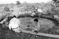 Image of sheet 19940440 photo 5: Bei Noel Montoya und Grethel Sequeira. in Mulukkuku. Dorothy Granada ist Californierin und Latina. Sie arbeitet in der Clinica der Frauenkooperative MLO. Beim Haarewaschen. Gretel an der Schreibmaschine. Besuch einer Hebamme Maximina Harkin, 60, mit Sporen an den Schlarpen. Flip Flop Nicaragua 1994