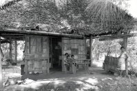 Image of sheet 19940450 photo 18: © 1994, Olivia Heussler / www.clic.li
Ein Haus mit einem Dach aus Palmblätter und Wände aus Bambus. Mulukkuku Nic. 10.94 √ 1994 Nicaragua 
La casa de la cooperativa de mujeres
«María Luisa Ortíz», 
Mulukukú, Dpto. de Matagalpa, 1994

María Luisa Ortíz Women’s Cooperative.