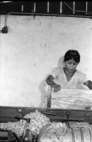 Image of sheet 19940450 photo 23: Postcosecha:Produktion der Silos in der Kooperative Idefonso Montoya. 30 Silos für Rio Blanco. a 322 Cordobas. Die Frau heisst Catalyna Vargas Valdivia. Wählen einer neuen Asamblea Sandinista. Das Haus von Montoya mit Palmdach und Bambus. In der Schreinerei der Frauenkooperative MLO arbeitet ein junger Mann als Ausbildner Er ist bezahlt vom SAH. Gruppenbild. Nicaragua 1994 Mulukuku