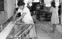 Image of sheet 19940450 photo 27: Postcosecha:Produktion der Silos in der Kooperative Idefonso Montoya. 30 Silos für Rio Blanco. a 322 Cordobas. Die Frau heisst Catalyna Vargas Valdivia. Wählen einer neuen Asamblea Sandinista. Das Haus von Montoya mit Palmdach und Bambus. In der Schreinerei der Frauenkooperative MLO arbeitet ein junger Mann als Ausbildner Er ist bezahlt vom SAH. Gruppenbild. Nicaragua 1994 Mulukuku
