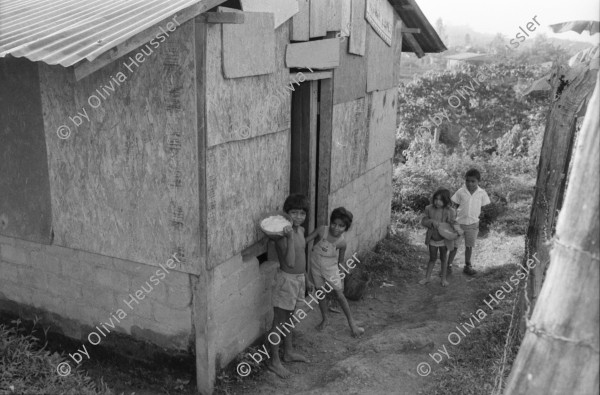 Image of sheet 19940460 photo 35: © 1994, Olivia Heussler / www.clic.li
Frauen stellen Bauklötze her. Sie gehören zum Kollektiv 'Maria Luisa Ortiz' Mulukkuku, Nicaragua  10. 1994 √ Mulukuku Kooperative Arbeit 
deza mediathek
Bloques
Frauen der Kooperative M.L.O. in Mulukuku, finanziert vom Schweizer ArbeiterInnenhilfswerk. Mulukuku Nicaragua 10.94 √
cooperativa de mujeres «María Luisa Ortíz», Mulukukú, Dpto. de Matagalpa, 1994
María Luisa Ortíz Women’s Cooperative. work women carpenter wood carpentry