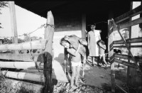 Image of sheet 19940470 photo 27: Gruppenbild der Bloquefrauen Frauen Kooperative Maria Luisa Ortiz MLO. Schreinerfrauen  In der Schreinerei arbeiten Frauen und gleichzeitig werden sie durch die Hilfe des SAH Schweizerisches Arbeiterinnenhilfswerk, ausgebildet. Angehörige der Kooperative morgens beim waschen etc. Junge schmust liebkost Kalb. Junge Frau und Mutter wäscht sich am Bach. Während der Charla in der Clinica der Kooperative Nicaragua 1994