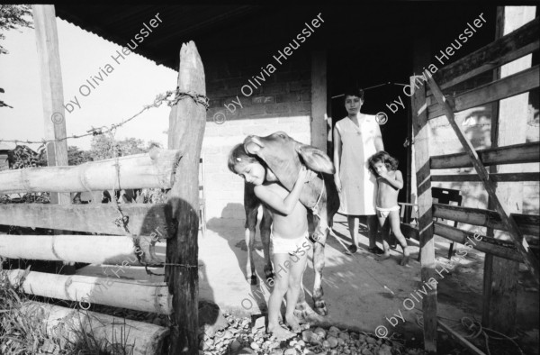 Image of sheet 19940470 photo 27: Gruppenbild der Bloquefrauen Frauen Kooperative Maria Luisa Ortiz MLO. Schreinerfrauen  In der Schreinerei arbeiten Frauen und gleichzeitig werden sie durch die Hilfe des SAH Schweizerisches Arbeiterinnenhilfswerk, ausgebildet. Angehörige der Kooperative morgens beim waschen etc. Junge schmust liebkost Kalb. Junge Frau und Mutter wäscht sich am Bach. Während der Charla in der Clinica der Kooperative Nicaragua 1994