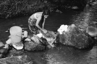 Image of sheet 19940480 photo 29: Die Frauen der Kooperative während ihrer Arbeiten zu Hause vor dem Beginn ihrer Arbeit in der Schreinerei. Tortilla machen. Kinder verpflegen. Am Fluss beim Wäsche waschen und sich selber. Kind nackt zieht sich an. Portrait Mutter und Tochter. Charla in der Clinica. Vortrag Symposium Sitzung Besprechung.
in der Klinik für Frauen. Nicaragua 1994 gesundheit frauen Mulukuku