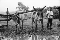 Image of sheet 19940520 photo 23: 1994 Esteli Nicaragua