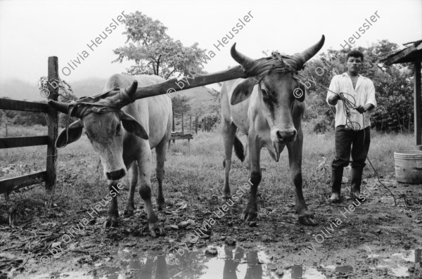 Image of sheet 19940520 photo 23: 1994 Esteli Nicaragua