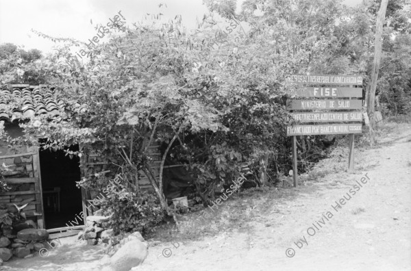 Image of sheet 19940540 photo 1: Harvey im Autospiegel. Kind mit Holz und Frau der Kooperative MLO FISE Tafel COSUDE in San Dionisio.Matagalpa. Swissaid gibt Kleinkredite an AGACI Frauen UNAG Mujer unterstützt. Die Frauen gehören zur Asociacion de Ganaderas Individuales. Carina auf Pferd.Nr. 7 und 15 Adaluz Arauz G. Mitglied der Gruppe beim Sähen von Mais.   und melke. Gruppenbild. 1994 Nicaragua