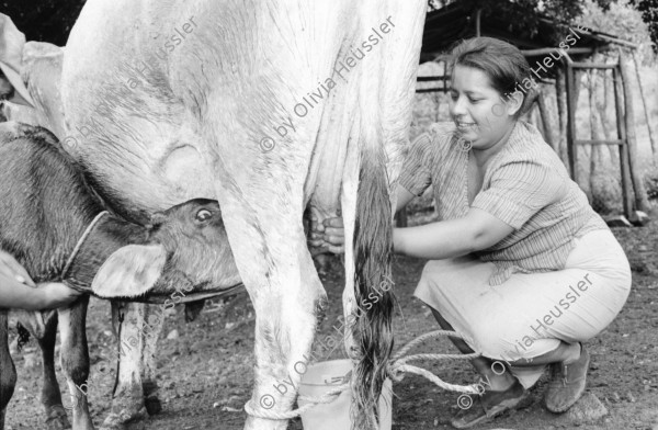 Image of sheet 19940540 photo 15: Harvey im Autospiegel. Kind mit Holz und Frau der Kooperative MLO FISE Tafel COSUDE in San Dionisio.Matagalpa. Swissaid gibt Kleinkredite an AGACI Frauen UNAG Mujer unterstützt. Die Frauen gehören zur Asociacion de Ganaderas Individuales. Carina auf Pferd.Nr. 7 und 15 Adaluz Arauz G. Mitglied der Gruppe beim Sähen von Mais.   und melke. Gruppenbild. 1994 Nicaragua