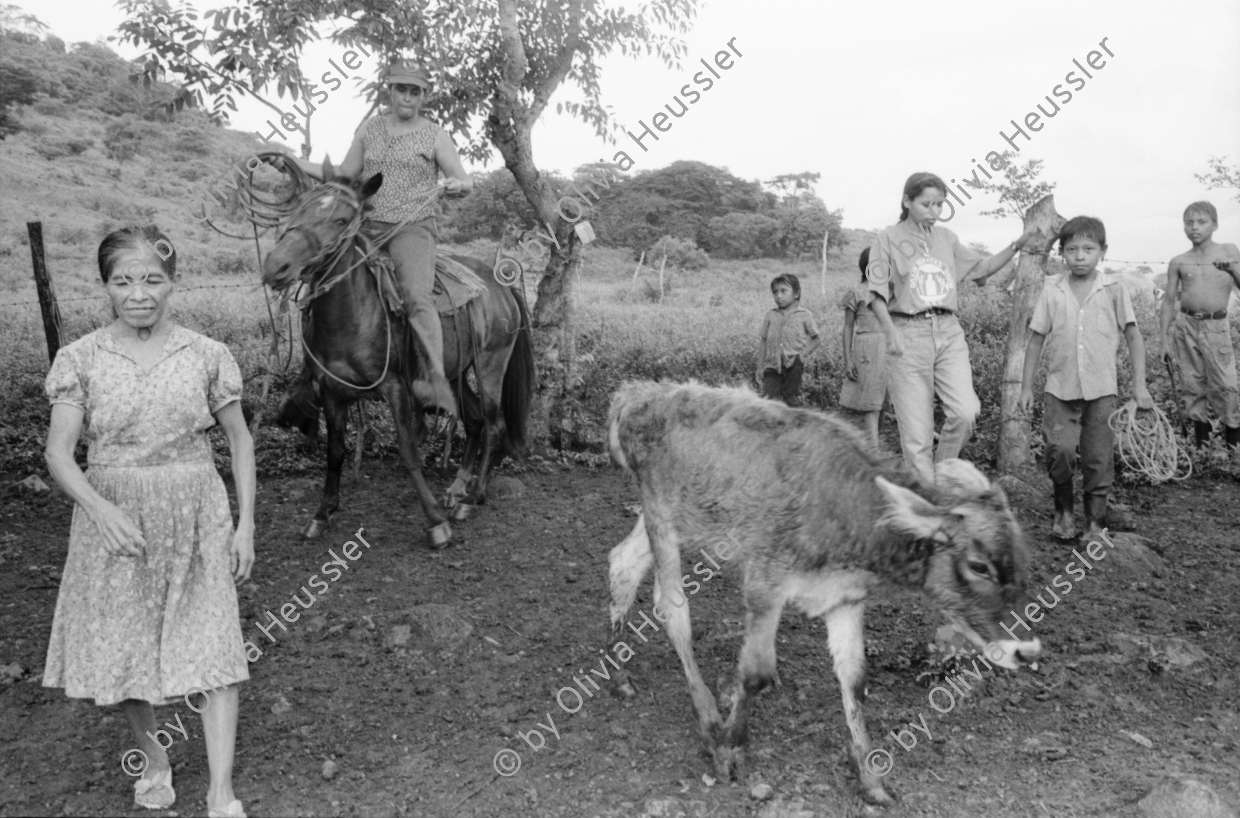 Image of sheet 19940550 photo 11: frtsg. AGACI Frauen und Strassenbild San Dionisio. Gruppenbild. Mutter und Kind. Männer vor Tienda FSLN Mural. Kühe und Pferd auf dem Weg auf das Feld. Kühe und Rinder AGACI in El Chaguitillo mit Dona Maria Elsa. 1994 Nicaragua
© 1994, OLIVIA HEUSSLER / www.clic.li