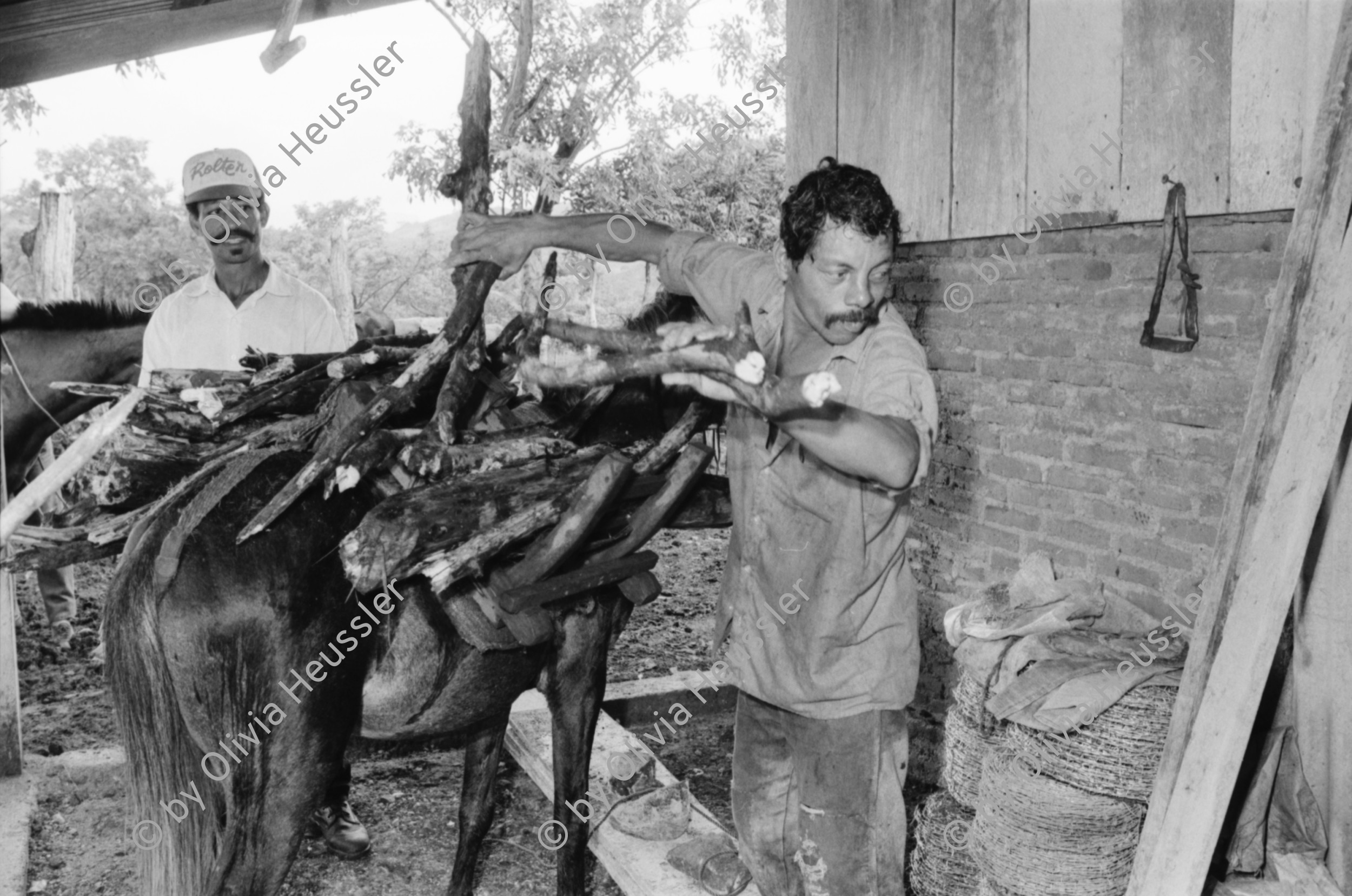 Image of sheet 19940550 photo 12: frtsg. AGACI Frauen und Strassenbild San Dionisio. Gruppenbild. Mutter und Kind. Männer vor Tienda FSLN Mural. Kühe und Pferd auf dem Weg auf das Feld. Kühe und Rinder AGACI in El Chaguitillo mit Dona Maria Elsa. 1994 Nicaragua
© 1994, OLIVIA HEUSSLER / www.clic.li