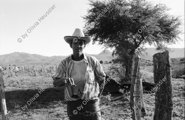 Image of sheet 19940560 photo 36: frtsg. 940550 Kühe und Rinder und Frau AGACI 
Die Frauen der Kooperative Leonel Valdivia besitzen Kühe und Kälber. Swissaid unterstützt sie durch Kleinkredite im Rotationsverfahren.

Farming Farmer cows women woman work micro credit agriculture cattle
Nicaragua 1994