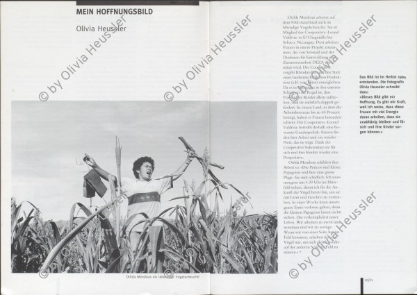 Image of sheet 19940570 photo 11: Otilda Mendoza vertreibt als lebendige Vogelscheuche die grünen kleinen Chocoyo Barbinaranja/ Orange chinned Parakeet Papageien (Brotogeris jugularis) Aves de Nicaragua, die sich jeden Morgen durchs Hirsefeld fressen. Nicaragua 1994 √
deza
Otilda Mendoza, espantapájaros vivo. Cooperativa

gerahmt framed passepartout 37 x 52 cm
«El Chagüitillo», Sébaco, Dpto. de Matagalpa, 1994
Otilda Mendoza, live scarecrow. El Chagüitillo Cooperative, Sébaco, Dep. Matagalpa, 1994

Press archive printed media published with the use of a photography by Olivia Heussler: .