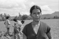 Image of sheet 19940580 photo 12: frtsg. 940570 Traktor Maisfeld. Frauen und Männer arbeiten auf dem Feld. Frauen tragen Wasserrohre. Inaa und COSUDE arbeiten zusammen. Es werden von Männer Kanäle gegraben und Rohre zur Wasserleitung verlegt. Frauen schütten die Kanäle wieder mit Erde zu. El Penasco Condega. Nicaragua 1994