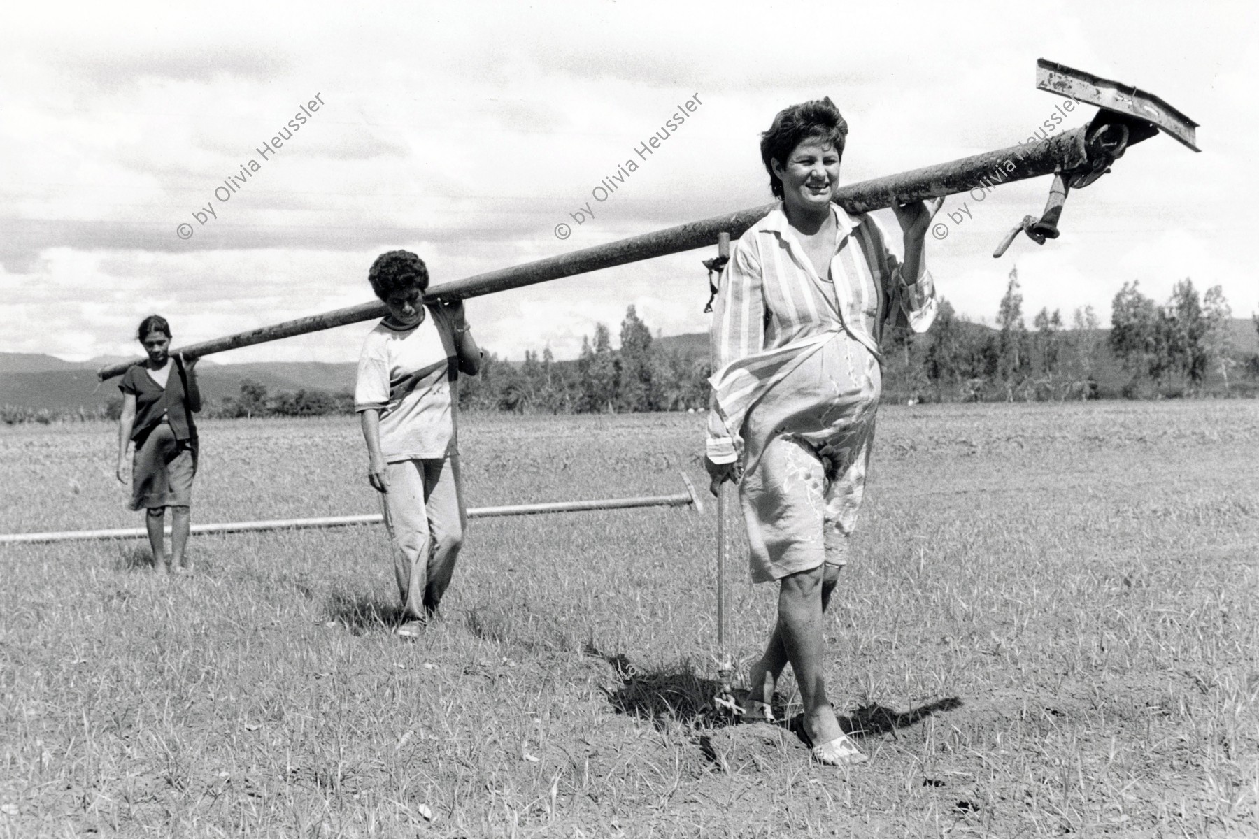 Image of sheet 19940580 photo 22: © 1993, Olivia Heussler / www.clic.li
Swissaid unterstützt die Frauenkooperative. Hier einige Mitglieder innen beim Wasserleitung legen auf dem Feld. El Chaguitillo, Nicaragua 1994 √

Farming Farmer cows women woman work micro credit agriculture cattle Rohr Wasser Frauen Arbeit Feld Farm Leitung Kanalisation Kühe Kuh deza