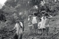 Image of sheet 19940580 photo 24: © 1993, Olivia Heussler / www.clic.li