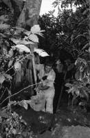 Image of sheet 19940580 photo 31: frtsg. 940570 Traktor Maisfeld. Frauen und Männer arbeiten auf dem Feld. Frauen tragen Wasserrohre. Inaa und COSUDE arbeiten zusammen. Es werden von Männer Kanäle gegraben und Rohre zur Wasserleitung verlegt. Frauen schütten die Kanäle wieder mit Erde zu. El Penasco Condega. Nicaragua 1994