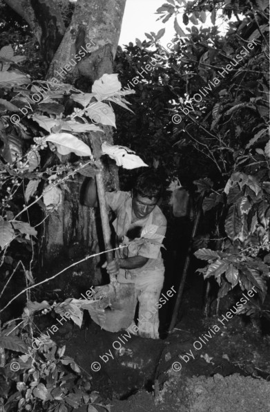 Image of sheet 19940580 photo 31: frtsg. 940570 Traktor Maisfeld. Frauen und Männer arbeiten auf dem Feld. Frauen tragen Wasserrohre. Inaa und COSUDE arbeiten zusammen. Es werden von Männer Kanäle gegraben und Rohre zur Wasserleitung verlegt. Frauen schütten die Kanäle wieder mit Erde zu. El Penasco Condega. Nicaragua 1994