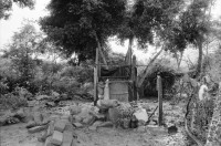Image of sheet 19940590 photo 1: frtsg. 940580 Wasserleitungen COSUDE und Inaa Frauen arbeiten mit Schaufeln und Hacken. Haus mit trad. Backofen. Rohre an Baum. Nicaragua 1994
Die Frauen des Dorfes 'El Penasco' arbeiten freiwillig (unterstützt mit Schweizer Finanzierungen aus der Entwicklungshilfe DEZA COSUDE) an der Wasserleitung mit. Farming Farmer cows women woman work micro credit agriculture water