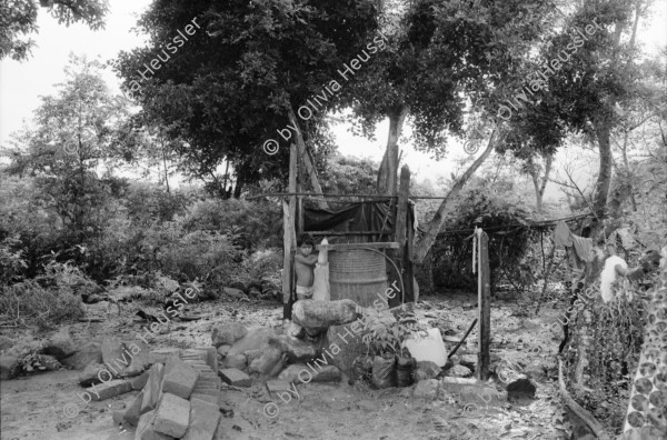 Image of sheet 19940590 photo 1: frtsg. 940580 Wasserleitungen COSUDE und Inaa Frauen arbeiten mit Schaufeln und Hacken. Haus mit trad. Backofen. Rohre an Baum. Nicaragua 1994
Die Frauen des Dorfes 'El Penasco' arbeiten freiwillig (unterstützt mit Schweizer Finanzierungen aus der Entwicklungshilfe DEZA COSUDE) an der Wasserleitung mit. Farming Farmer cows women woman work micro credit agriculture water