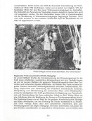 Image of sheet 19940590 photo 35: Die Frauen des Dorfes 'El Penasco' arbeiten freiwillig (unterstützt mit Schweizer Finanzierungen aus der Entwicklungshilfe) an der Wasserleitung mit. Nicaragua 10.94. 1994 auf deza mediathek