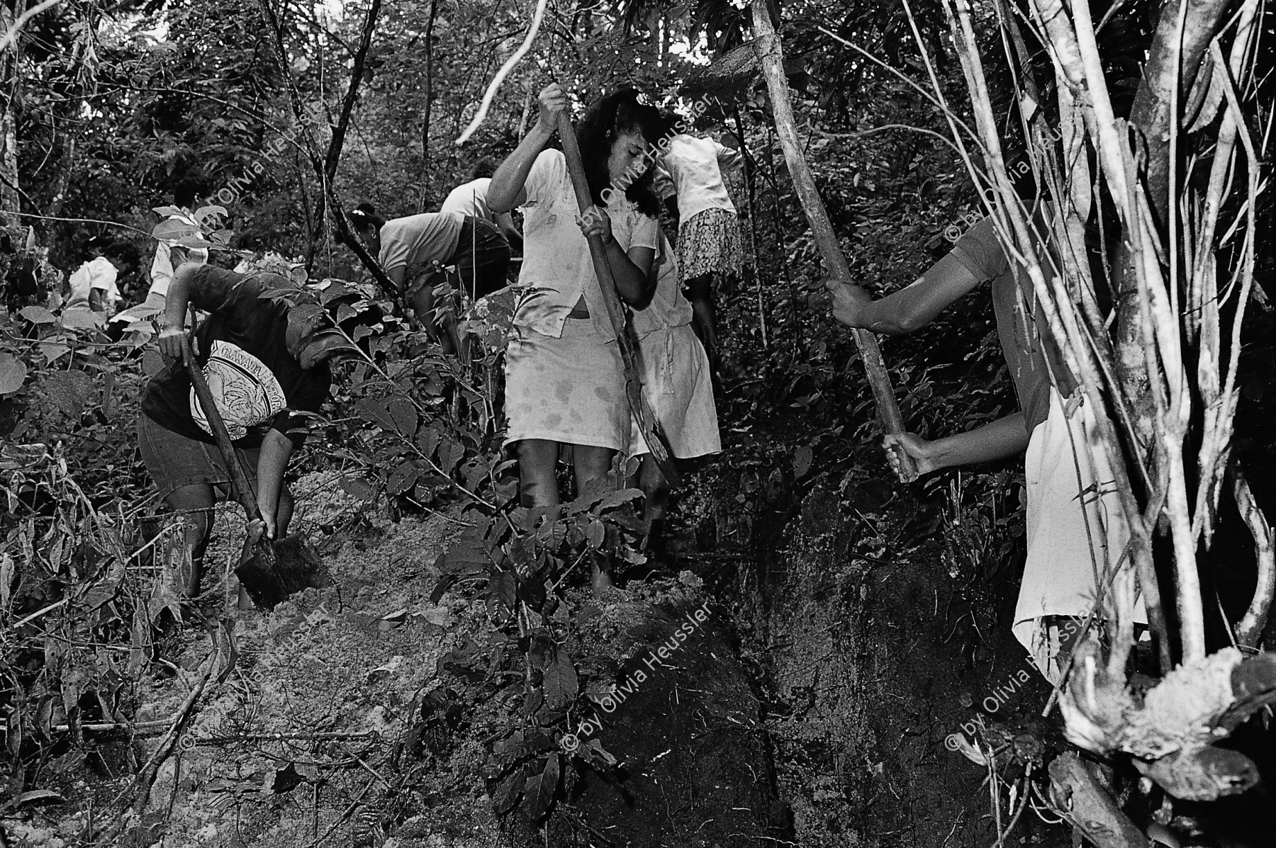 Image of sheet 19940590 photo 35: Die Frauen des Dorfes 'El Penasco' arbeiten freiwillig (unterstützt mit Schweizer Finanzierungen aus der Entwicklungshilfe) an der Wasserleitung mit. Nicaragua 10.94. 1994 auf deza mediathek
Frau Arbeit Wasser