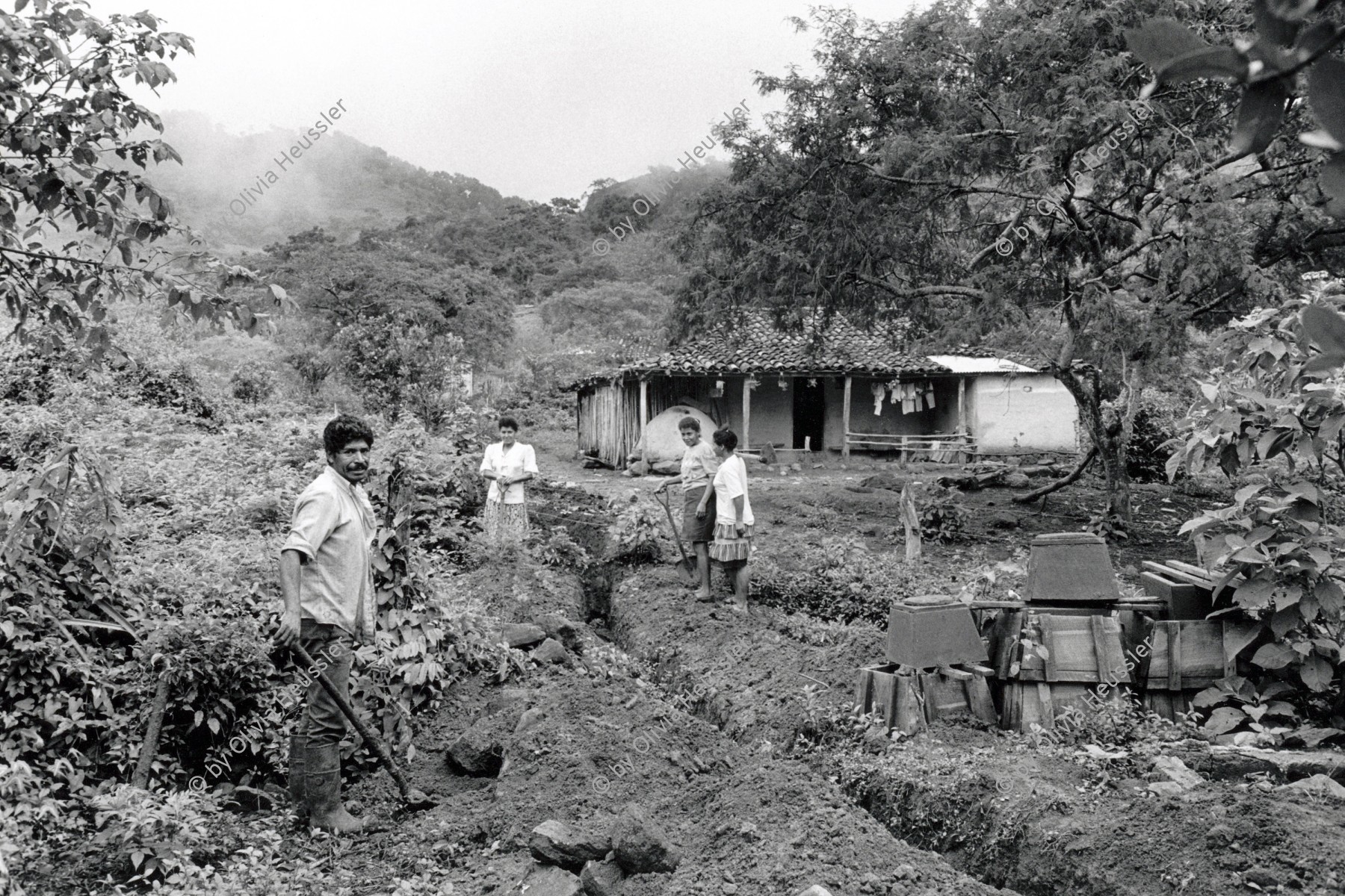 Image of sheet 19940590 photo 8: © 1993, Olivia Heussler / www.clic.li
Die Frauen des Dorfes 'El Penasco' arbeiten freiwillig (unterstützt mit Schweizer Finanzierungen aus der Entwicklungshilfe DEZA COSUDE) an der Wasserleitung mit. Nicaragua 1994 √ Farming Farmer cows women woman work micro credit agriculture water