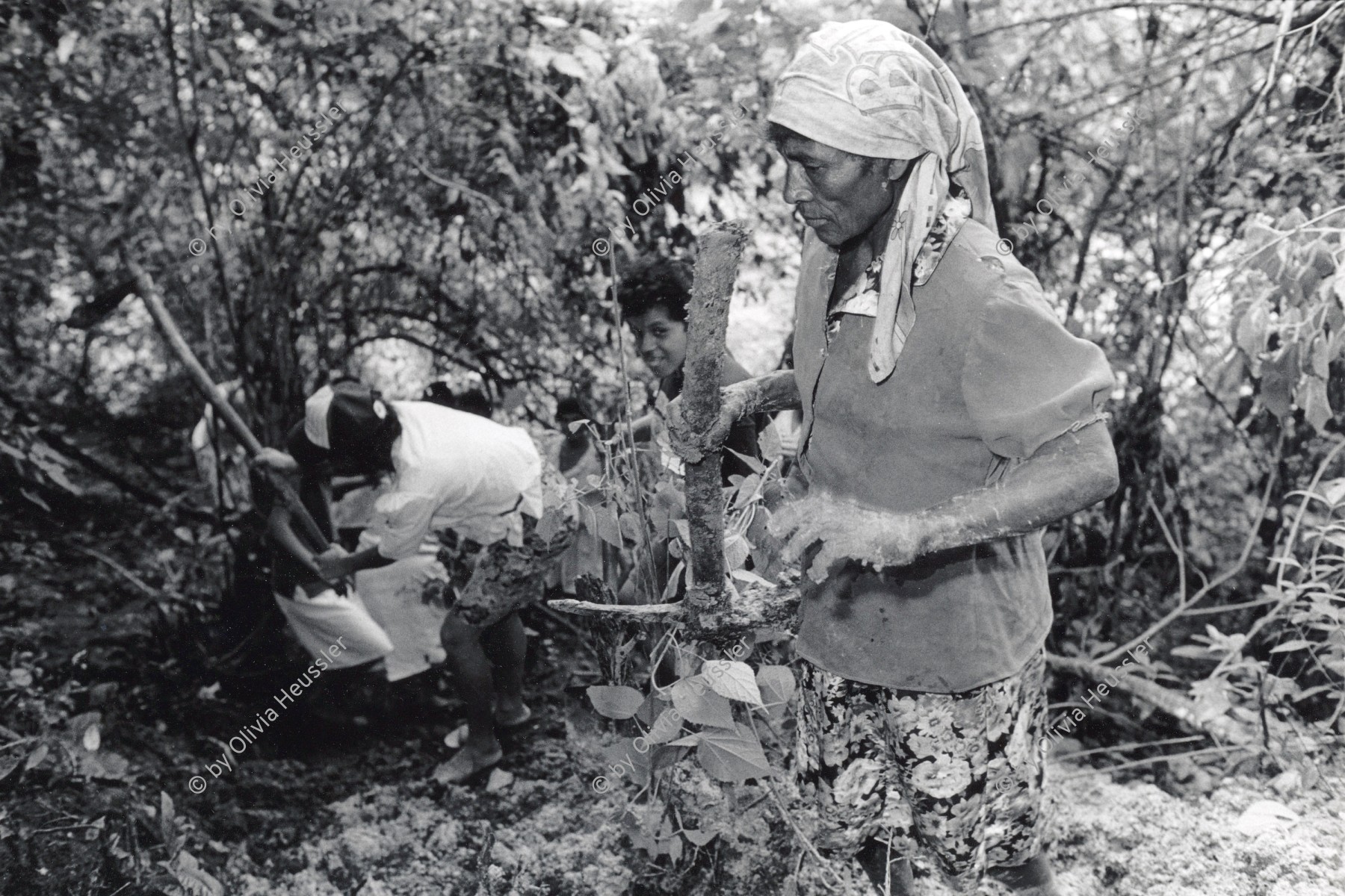 Image of sheet 19940600 photo 17: © 1994, Olivia Heussler / www.clic.li
Die Frauen des Dorfes 'El Penasco' arbeiten freiwillig (unterstützt mit Schweizer Finanzierungen aus der Entwicklungshilfe DEZA COSUDE) an der Wasserleitung mit. Nicaragua 1994 √ Farming Farmer women woman work micro credit agriculture water