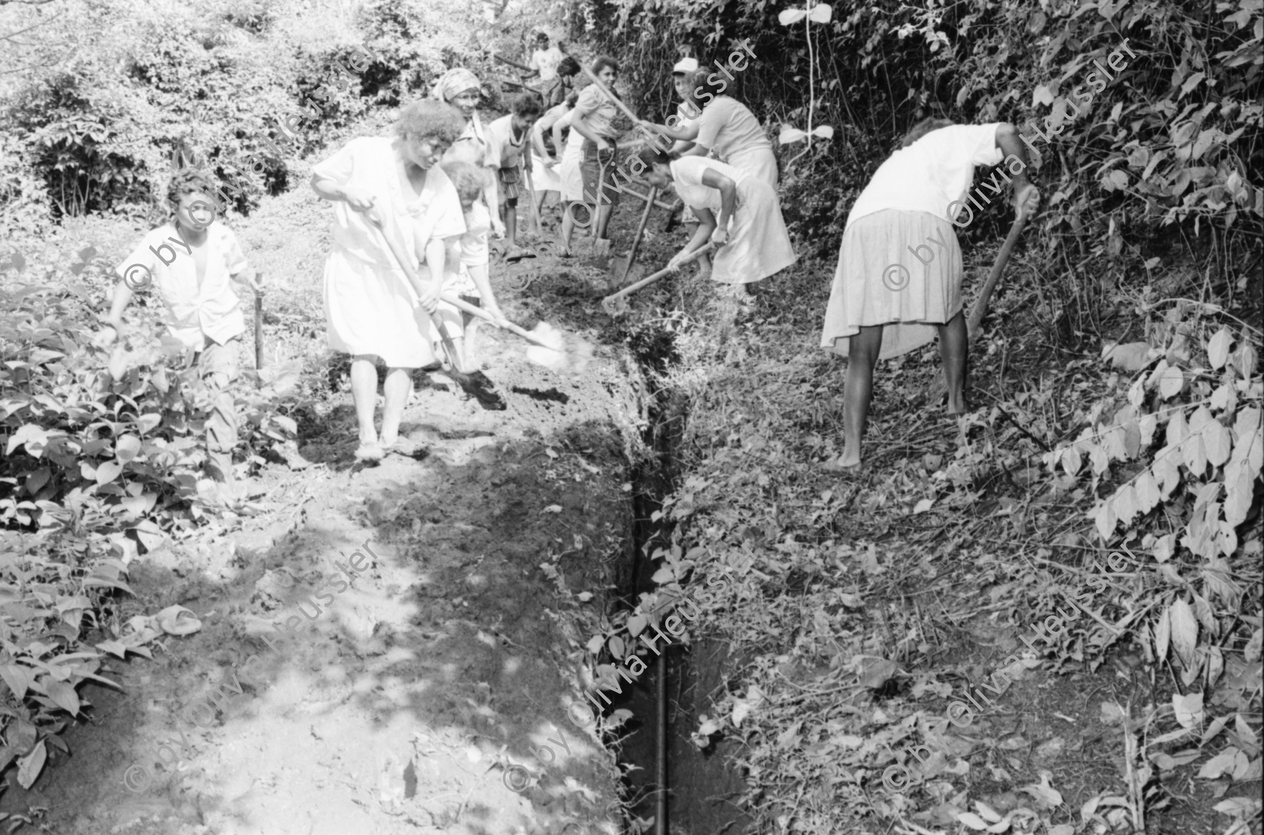 Image of sheet 19940600 photo 27: frtsg. 940590 Frauen arbeiten an Verlegung der Wasserleitung COSUDE und Inaa. Gruppenbild.
Die Frauen des Dorfes 'El Penasco' arbeiten freiwillig (unterstützt mit Schweizer Finanzierungen aus der Entwicklungshilfe DEZA COSUDE) an der Wasserleitung mit. Nicaragua 1994  Farming Farmer women woman work micro credit agriculture water