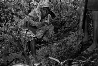Image of sheet 19940600 photo 3: Die Frauen des Dorfes 'El Penasco' arbeiten freiwillig (unterstützt von Schweizer Finanzierung aus der Entwicklungshilfe) an der Wasserleitung. Nic. 10.94
1994 Nicaragua Central america water Wasser Arbeit Frauen auf deza mediathek