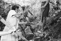 Image of sheet 19940600 photo 5: frtsg. 940590 Frauen arbeiten an Verlegung der Wasserleitung COSUDE und Inaa. Gruppenbild.
Die Frauen des Dorfes 'El Penasco' arbeiten freiwillig (unterstützt mit Schweizer Finanzierungen aus der Entwicklungshilfe DEZA COSUDE) an der Wasserleitung mit. Nicaragua 1994  Farming Farmer women woman work micro credit agriculture water