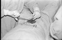 Image of sheet 19940630 photo 6: frtsg. 940620 Sterilisation bei einer Frau. Schwangere und Weltkugel. Pestizide werden aufs Reisfeld getragen. Wasserkanal. Sack. Reisfeld. Mann mit Sack. Reis wird mit Schaufel aus Lastwagen geschaufelt. Mann füllt Sack. 1994 Nicaragua
Die Felder in Nicaragua werden mit solchen Pestiziden behandelt.
pesticidal insecticide malaria agriculture farming rice production Sebaco chemical pesticide