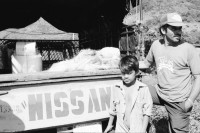 Image of sheet 19940650 photo 13: N