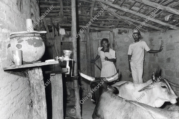 Image of sheet 19940650 photo 16: Ox kitchen water mühle getreidemühle Adobe

Teófila Gómez dando de comer a las gallinas, que compró con un microcrédito. La Olota (Villanueva), Dpto. de Chinandega, 1994
Teófila Gómez, feeding the chickens she financed with a small loan.
La Olota (Villanueva), Dep. Chinandega, 1994
mikrofinanzierung micro credit finance