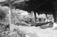 Image of sheet 19940650 photo 26: Das Lehm Haus ist ca 40 Jahre alt. Es hat ein Ziegeldach. .