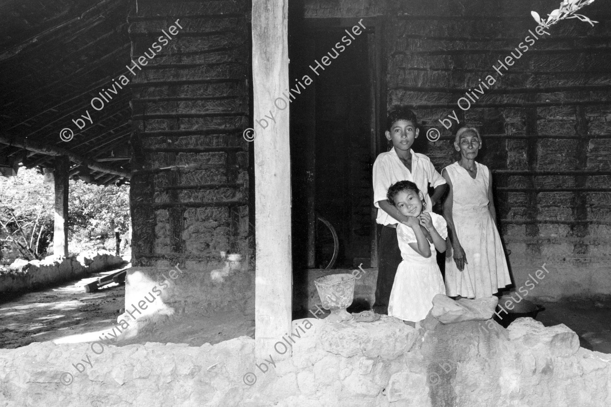 Image of sheet 19940650 photo 28: l