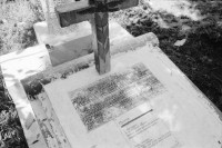 Image of sheet 19940660 photo 13: s