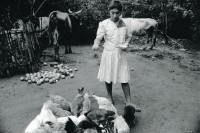 Image of sheet 19940660 photo 20: Teófila Gómez füttert ihre Hühner, die sie mit einem Kleinkredit finanziert hat. La Olota (Villanueva), Dep. Chinandega, 1994Teófila Gómez dando de comer a las gallinas, que compró con un microcrédito. La Olota (Villanueva), Dpto. de Chinandega, 1994
mikrofinanzierung micro credit finance
Aus: «Der Traum von Solentiname» EPF, Zürich 
«El Sueño de Solentiname» IHNCA Managua p. 166