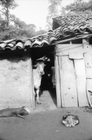 Image of sheet 19940660 photo 26: deza
