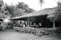Image of sheet 19940660 photo 31: farmer house farming tipical roof nicaraguan landhouse brick