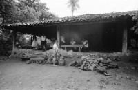 Image of sheet 19940660 photo 33: s