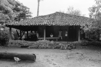 Image of sheet 19940670 photo 9: Mujeres de la cooperativa «Juan XXIII».
La Olota (Villanueva), Dpto. de Chinandega, 1994
Women of the Juan XXIII Cooperative.
La Olota (Villanueva), Dep. Chinandega, 1994