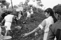 Image of sheet 19940680 photo 0: frtsg. 940670 Kuhprojekt mit Teofilas Frauengruppe, beim melken. die Frauen stehen knöcheltief im Kuhdreck.
Villanueva Las Olotas cooperative cattle woman work women farming farmer 
Cowgirls Nicaragua 1994