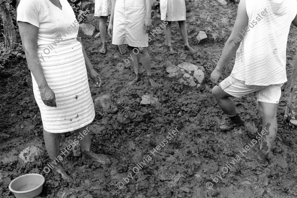 Image of sheet 19940680 photo 21: Die Frauen der Kooperative Juan 23 stehen nach dem melken knöcheltief im Kuh Mist Dünger Gülle  Las Olotas, Nicaragua 1994.

The women of the cooperative Juan 23 after milking the cows standing till their ankle deep in cow dung deza
work women farmer milk 
ohne Aufkleber