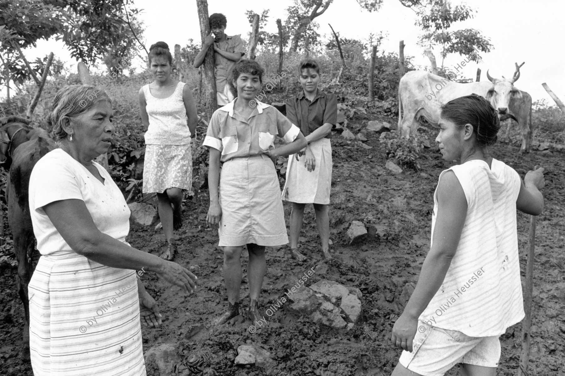 Image of sheet 19940680 photo 23: © 1994, OLIVIA HEUSSLER/ www.clic.li
Die Frauen der Kooperative Juan 23 stehen nach dem melken knöcheltief im Kuhdreck. Las Olotas NIc. 10.94 Nicaragua 1994 √

The women of the cooperative Juan 23 after milking the cows standing till their ankle deep in cow dung
women farmer milk Milch Kuh Kühe work