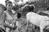 Image of sheet 19940680 photo 31: frtsg. 940670 Kuhprojekt mit Teofilas Frauengruppe, beim melken. die Frauen stehen knöcheltief im Kuhdreck.
Villanueva Las Olotas cooperative cattle woman work women farming farmer 
Cowgirls Nicaragua 1994