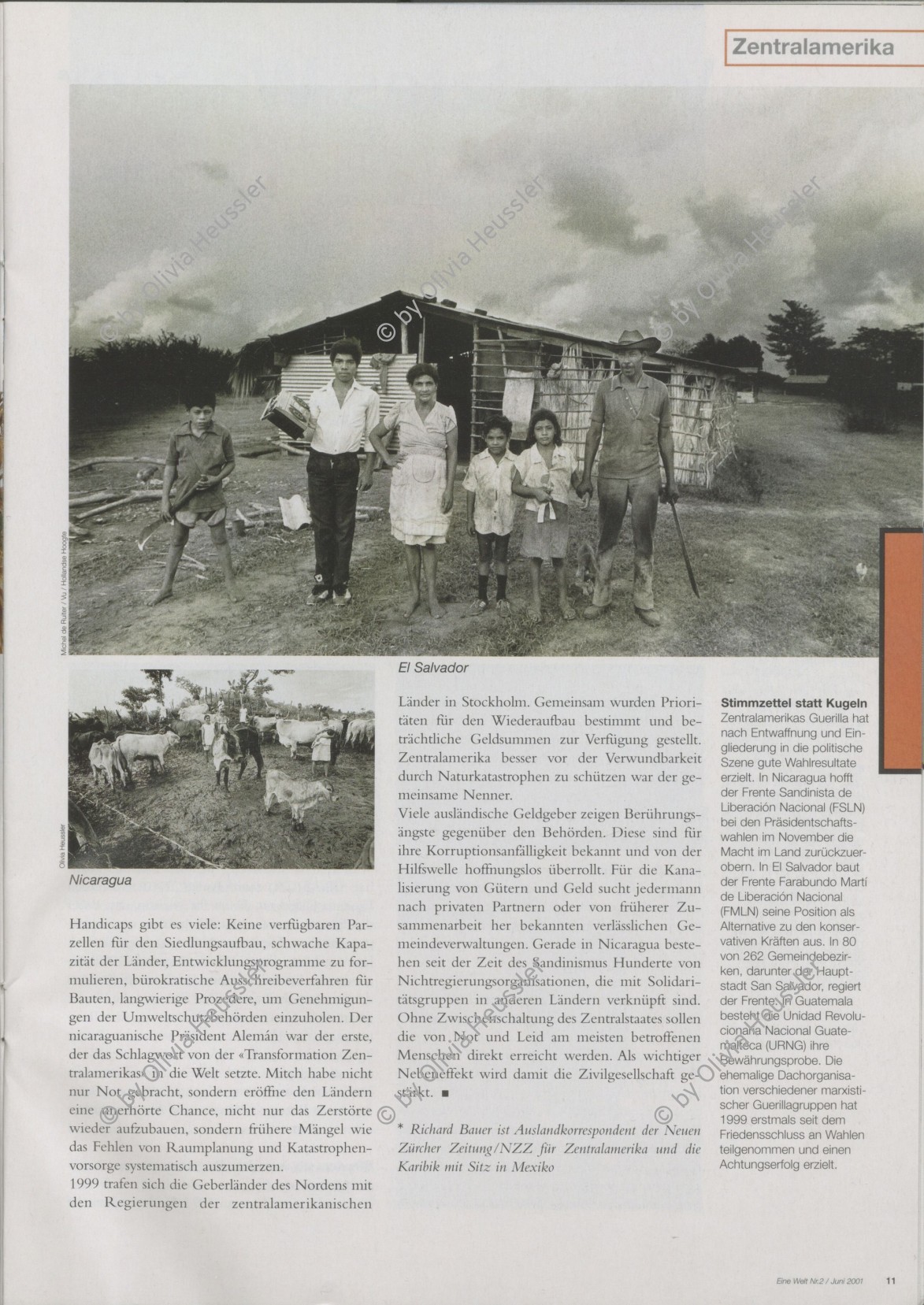 Image of sheet 19940690 photo 10: Die Frauen der Kooperative Juan 23 treffen sich um ihre Kühe zu melken. Sie stehen knöcheltief im Schlamm. La Olota Villannueva Nicaragua 1994 √
Farming Farmer cows women woman work micro credit agriculture cattle milking milk Kühe Kuh Arbeit work deza
© 1994, Olivia Heussler 
gerahmt framed passepartout 37 x 52 cm